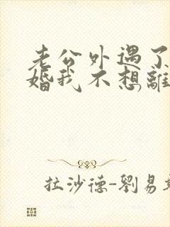 老公外遇了要离婚我不想离婚怎么办