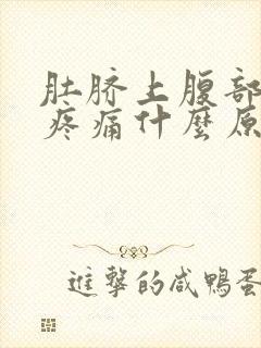 肚脐上腹部正中疼痛什么原因