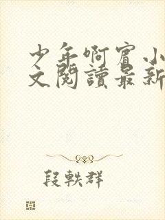 少年啊宾小说全文阅读最新章节txt