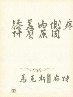 膝盖内侧疼痛是什么原因