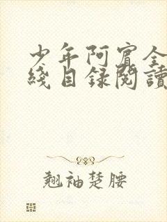 少年阿宾全集在线目录阅读全文原文