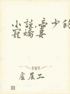 小说,帝少的独宠娇妻