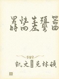 男性生殖器勃起时向左弯曲