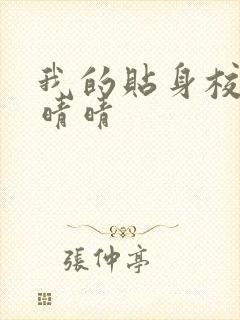 我的贴身校花黄晴晴