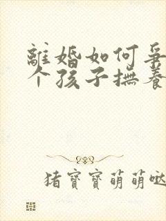 离婚如何争取两个孩子抚养权