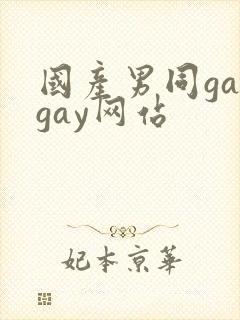 国产男同gaygay网站封面
