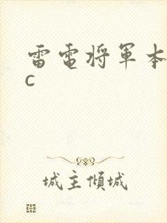 雷电将军本子被c