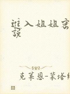 进入姐姐密穴小说封面