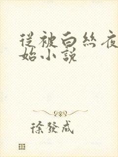 从被白丝夜袭开始小说