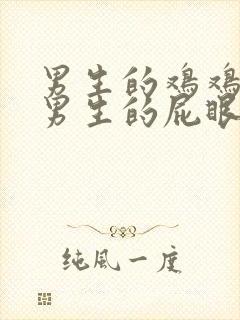 男生的鸡鸡插进男生的屁眼里封面