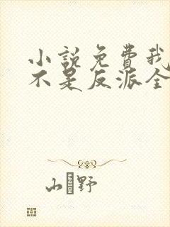 小说免费我真的不是反派全文阅读封面