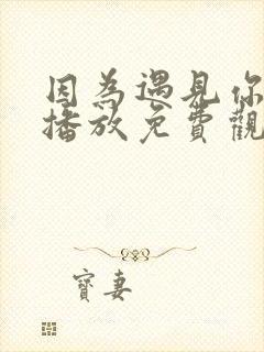 因为遇见你在线播放免费观看西瓜