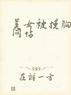 美女被摸胸视频网站