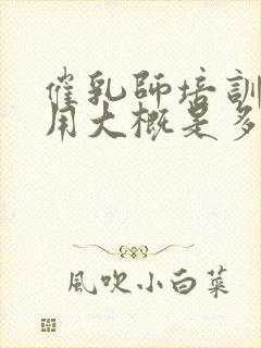 催乳师培训的费用大概是多少