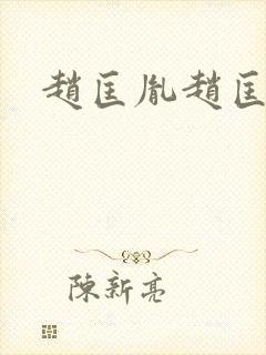 赵匡胤赵匡义封面