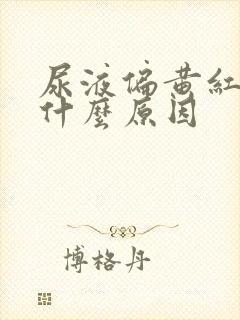 尿液偏黄红色是什么原因