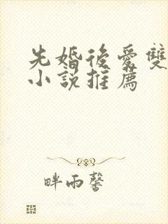 先婚后爱双男主小说推荐