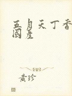 五月天丁香婷婷国产