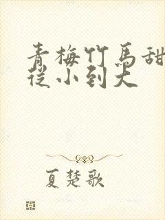 青梅竹马甜宠文从小到大