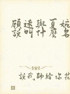 顾远与夏婉的小说叫什么名