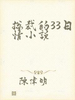 总裁的33日索情小说
