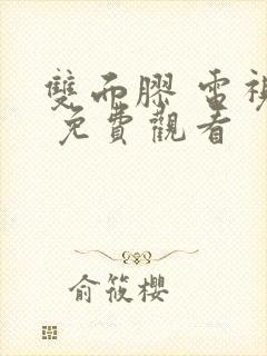 双面胶 电视剧 免费观看