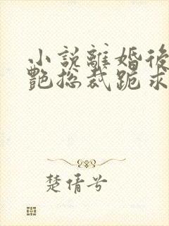 小说离婚后,冷艳总裁跪求复婚完整版封面