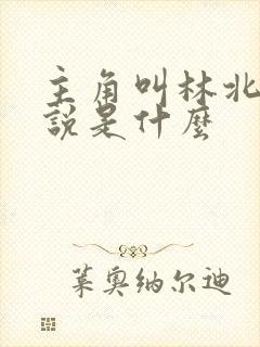主角叫林北的小说是什么