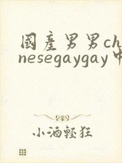 国产男男chinesegaygay中国帅哥网站