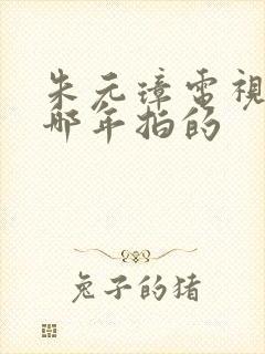 朱元璋电视剧是哪年拍的