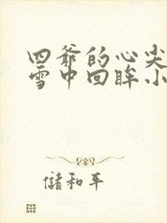 四爷的心尖宠妃雪中回眸小说的免费阅读