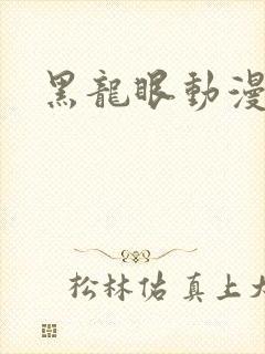 黑龙眼动漫