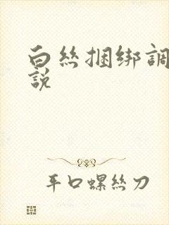 白丝捆绑调教小说