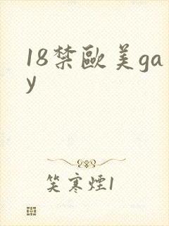 18禁欧美gay