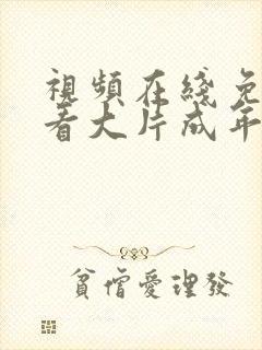 视频在线免费观看大片成年人