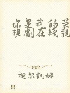 你是我的荣耀电视剧在线观看免费