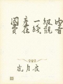 国产一级内射免费在线观看封面