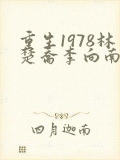 重生1978林楚乔李向南