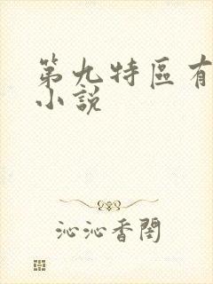 第九特区有声 小说封面