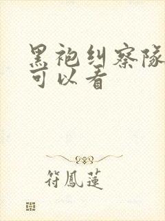 黑袍纠察队哪里可以看