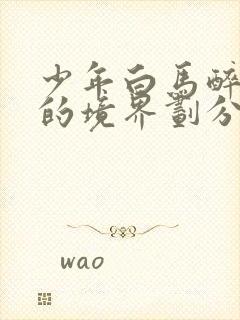 少年白马醉春风的境界划分