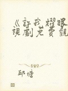 《许我耀眼》电视剧免费观看全集