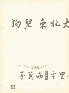 狗儿 东北大炕