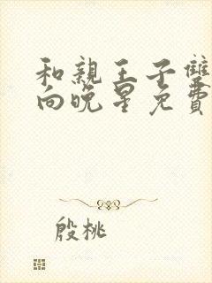 和亲王子双胞胎向晚星免费阅读txt