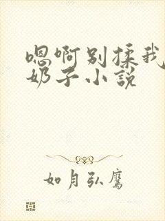 嗯啊别揉我的大奶子小说