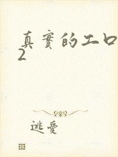 真实的工口游戏2