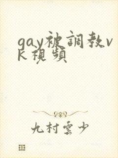 gay被调教vk视频