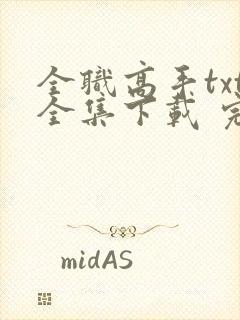 全职高手txt全集下载 完整版