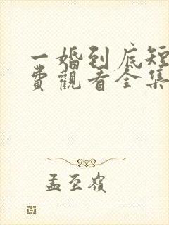 一婚到底短剧免费观看全集高清