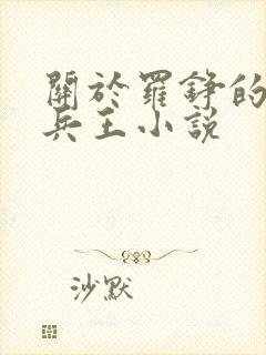 关于罗铮的最强兵王小说